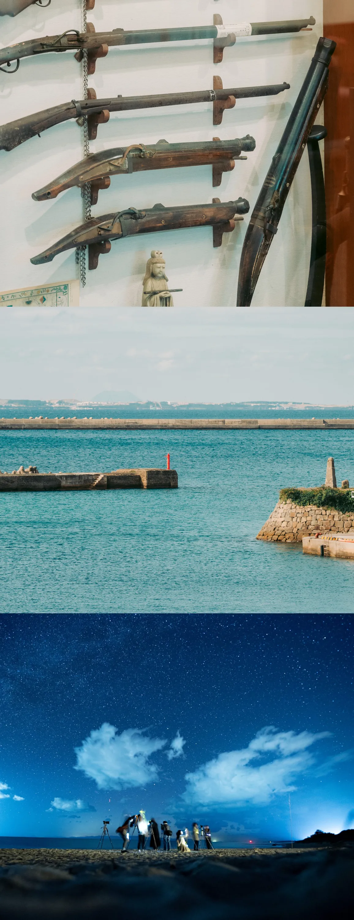 風と緑コースの風景